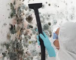 Mold Removal for HVAC Installations in Picayune, MS